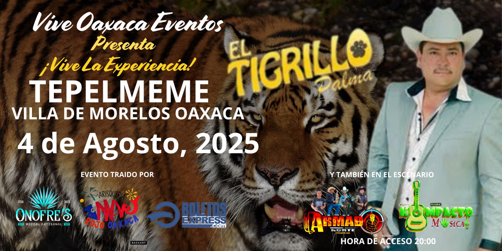 TEPELMEME 2025